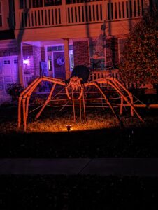 PXL_20231028_233305828